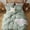 Pale Green, variant on JOLUSERE 100% Organic Cotton Duvet Cover Twin Size, 2 Pieces Double Layer Cotton Gauze Bed Set Duvet Cover,Pearl White