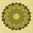thumbnail image 1 of Ahgly Company Tapis d'Intérieur Lavable en Machine Carré Transitionnel Jaune Néon, 7 Pieds Carré, 1 of 7