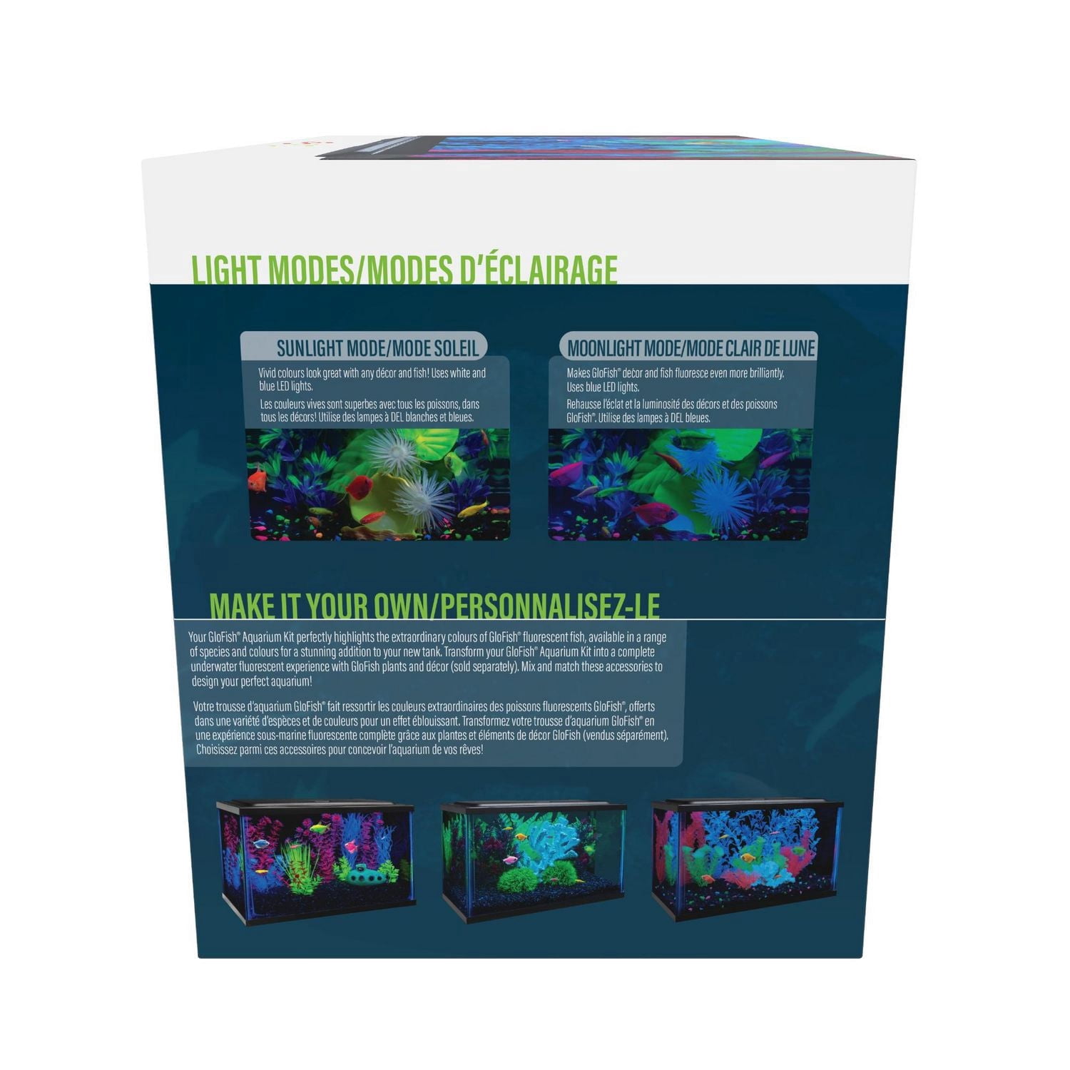 GloFish Kit d'aquarium parfait pour débutant