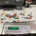 thumbnail image 3 of XZNGL Fashion Collecting Apron Pockets Holds Chicken Farm Home Apron, 3 of 9