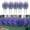 BU, variant on Amzcrzy P Lastic Simulated Lavender Outdoor Artificial Plants Indoor and Outdoor Hanging Plants Greening Gardens Porches Home Weddings Farmhouses Outdoor Decoration Terraces Home Decor