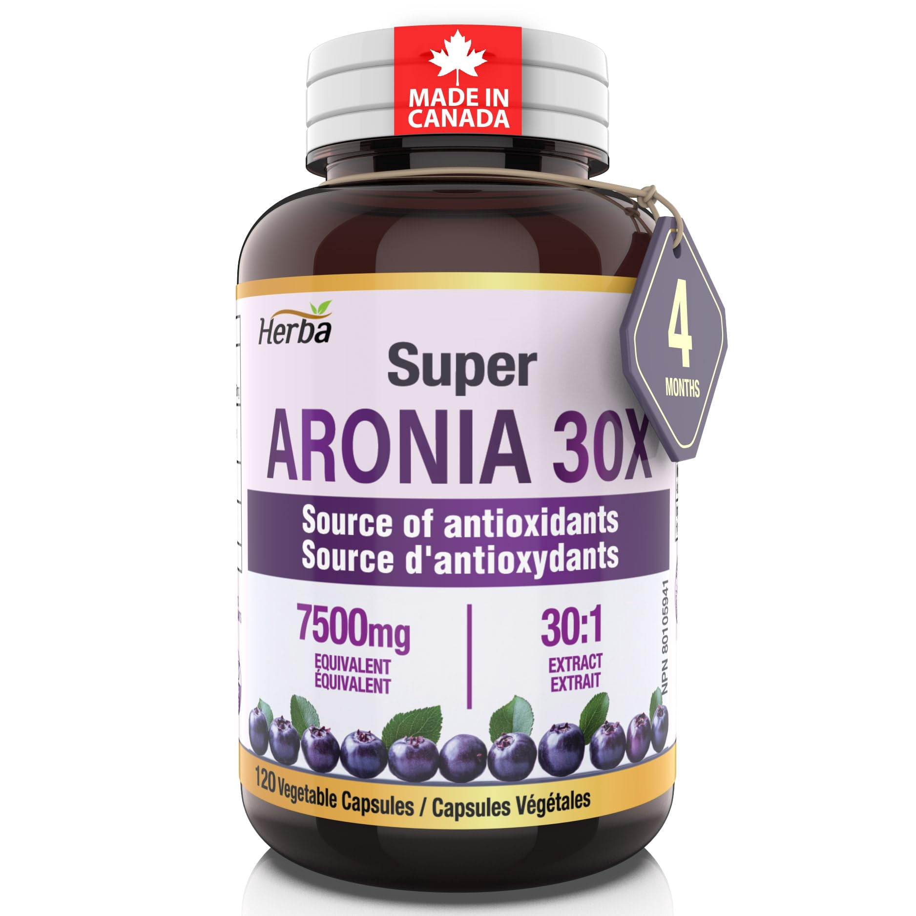 Herba Aronia Berry Supplement 250mg – 120 Capsules | 7500mg Fruit Equivalent | Made in Canada
