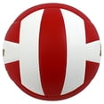 thumbnail image 4 of Baden PERFECTION Indoor Leather Volleyball - Official NFHS Approved Game Ball, 4 of 4