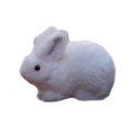 thumbnail image 1 of MesaSe Ridley le Lapin Peluche Réaliste Jouet Lapin Poupée pour Cadeaux d'Enfant Déco Maison, 1 of 12