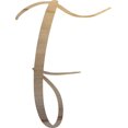 thumbnail image 1 of Unpainted Wood Letter F Craft, Paintable 10'' Tall Wood Alphabet Letter, DIY Nicholia Script Font, 1 of 3