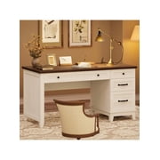 Ourlova 53.5 inch Executive Desk With Power Outlet Home Office Desk With Drawers Wooden Work Desk With File Cabinet Computer Desk For Work Study Writing