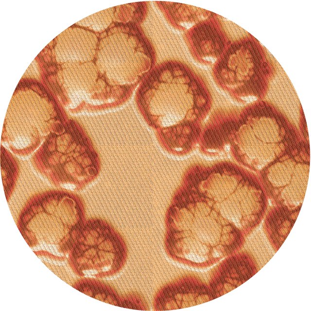 Ahgly Company Tapis d'Intérieur Ronds Transitionnels Orange Lavables à la Machine, 4 Pieds Rond