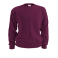 thumbnail image 1 of Soffe Boys Heavyweight Sweatshirt - B9001, 1 of 1