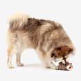 thumbnail image 3 of One Paw, Raccoon Ribbed Treat Plush for Dogs, 5 inches, 3 of 8