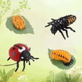thumbnail image 1 of Agiferg Simulation Arthropod Life Cycle of a Spider Bee Ladybugs Model, 1 of 3