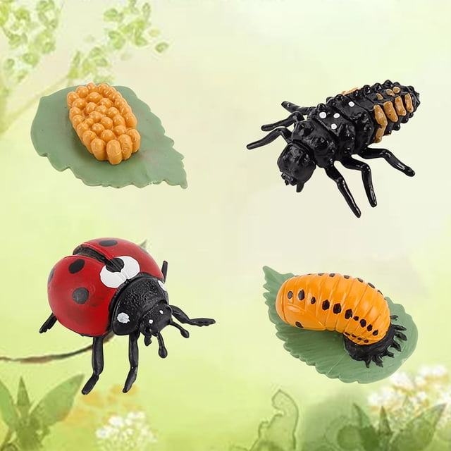 Agiferg Simulation Arthropod Life Cycle of a Spider Bee Ladybugs Model