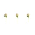 thumbnail image 2 of Baohd 1/2/3/5 10pack/lot Realistic Appearance Artificial Flower For Party Decor And Home Decor Light Green 3PCS, 2 of 6