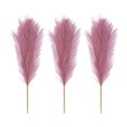 thumbnail image 1 of Wweixi 3piece Peaceful With Pampas Reed Decoration Downy And Durable Boho Decor Pinkish Purple 1Set, 1 of 6