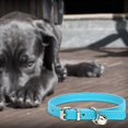 thumbnail image 4 of REK Candy Color Pet Collar Minimalist Cat & Dog Collar With (Adjustable Leather Neckband), 4 of 5