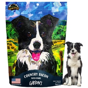 Wild Meadow Farms - Bacon de campagne de Gibson avec porc, bonbons doux pour chiens, confectionnés avec de la vraie viande, aromatique et sans grains pour l'entraînement et la récompense des chiens de toutes races et de tous âges - 3 Poche de l'once