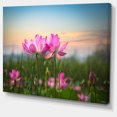 thumbnail image 3 of Design Art - Fleurs de Lotus en Fleurs au Coucher du Soleil, 3 of 4