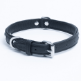 thumbnail image 3 of ROTTERDAM BONES Leather Dog Collar Single- Row Bones, 3 of 3