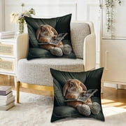 Amzcrzy Nylon Spandex Pillowcase Bedspread & Coverlet Sets Cute Rabbits Pillowcase Decoration Home Sofa Bedroom Cushion Cover Gift Pillowcase Bedding Bedding Comforter Sets Bedding Set