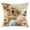 C, variante sur Housse de Coussin de Pâques Fausse Broderie Motif Lapin Imprimé 45 cm x 45 cm Housse de Coussin de Sofa en Polyester