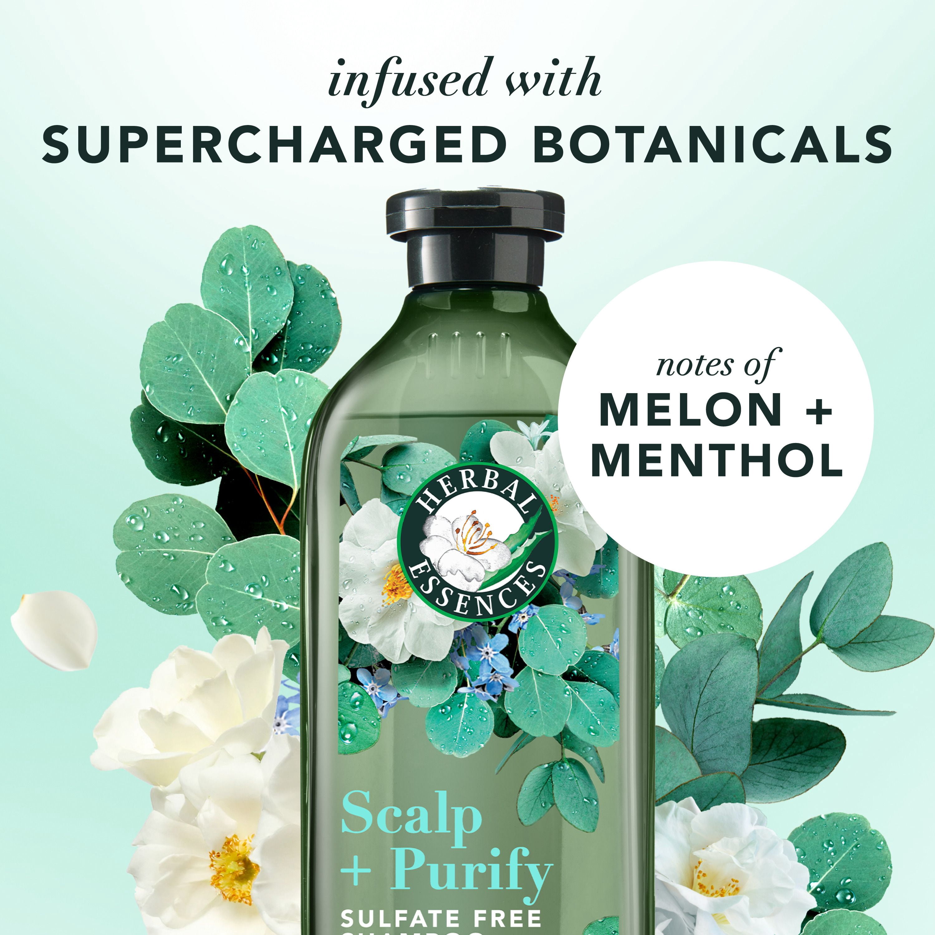 Shampooing Herbal Essences Cuir Chevelu et Purification, Nettoie Le Cuir Chevelu Pour Des Cheveux Doux, Eucalyptus, Sans Sulfate, 400 mL