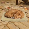 thumbnail image 2 of Sunbeam SBCHPS Heated Cat Mat, 2 of 2