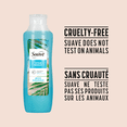 thumbnail image 3 of Suave Ocean Breeze Shampoo, 3 of 4