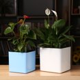thumbnail image 4 of CAROOTU Pot de Fleurs Irrigation Automatique par Absorption d'Eau avec Récipient d'Eau pour Plantes Vertes Succulentes, 4 of 6