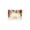White, variant on Meitianfacai Christmas Decorations Clearance Christmas Bath Mats Christmas Bathroom Decorative Rugs For Bathroom Non Slip Shower Rugs For Bathroom Bedroom Home