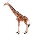 thumbnail image 4 of Xingzhi Simulation Animal Model Kids Educational Toys giraffe PL127-413, 4 of 5