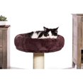 thumbnail image 4 of Prevue Pet Kitty très grand lit avec refuge, 4 of 5