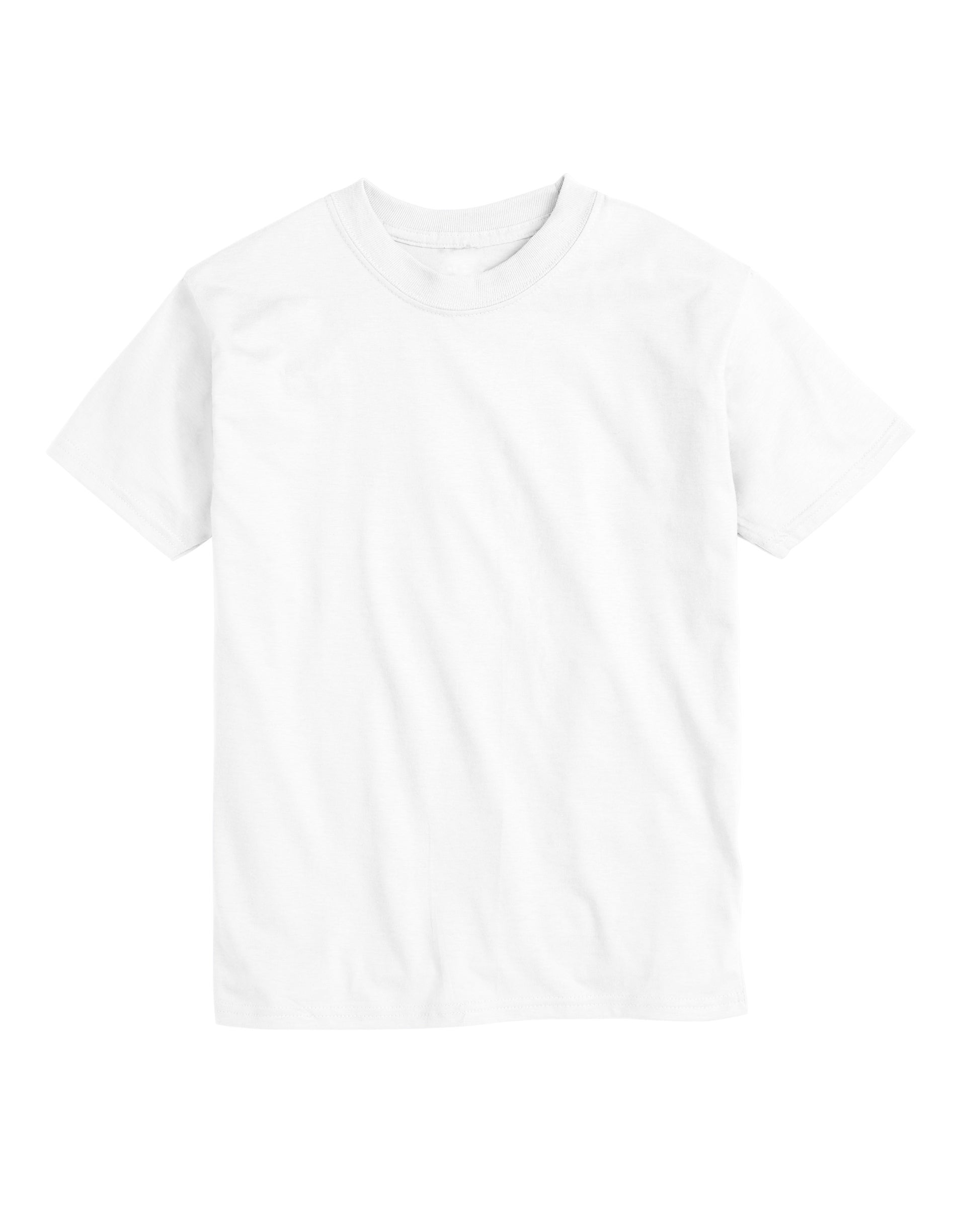 Hanes Mens Beefy T-Shirt 2-Pack, 3XL, White