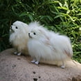 thumbnail image 3 of White Simulation Pomeranian Dog Plush Toy Realistic Pet Model Educational Gift For Children Size 87 X 75 X 28 Inches, 3 of 9