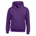 thumbnail image 1 of Gildan Boys/Girls Heavy Blend Hoodie, 1 of 3