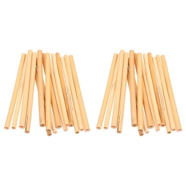 STRANDCHIC 40pcs Bee Tube Supplies Reed for Beekeepers in Outdoor Places