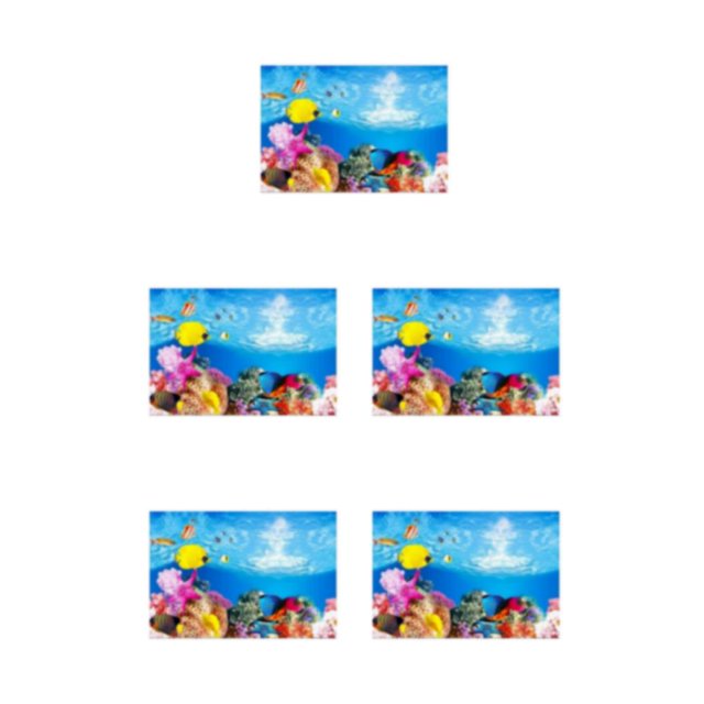 Youkk Beautiful PVC Aquarium Background Poster Vibrant Fish Tank Decoration Landscape 30x52cm 5Set