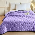 thumbnail image 1 of Birdeem Cooling Blanket,Summer Quilt Lightweight and Breathable for Hot Sleepers,59X79 Inch Air Conditioning Quilt with Ice Silk Feel,Machine Washable All Season Comforter, 1 of 1