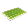 thumbnail image 4 of Static Grass Tuft Model, Railway Artificial Grass, Simulation Diorama Layout Static Grass Tufts for DIY Model, Railroad Scenery, Diorama Scenery Style B, 4 of 8