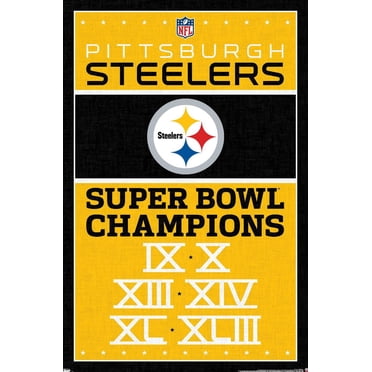 NFL Pittsburgh Steelers - Champions 13