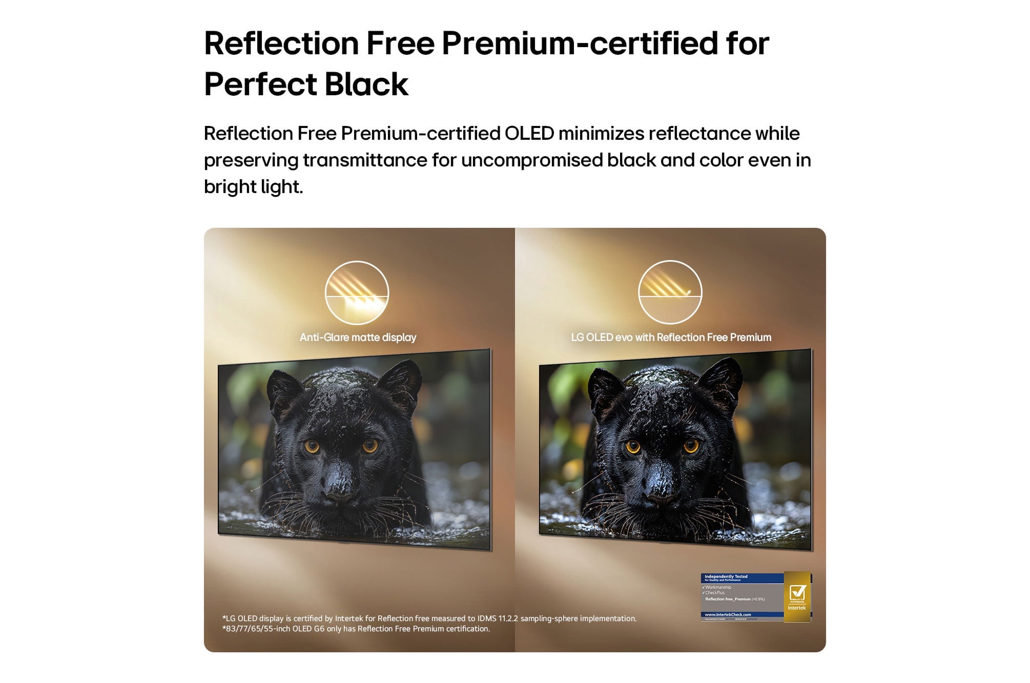 TV intelligent LG G6 OLED evo 4K de 55 pouces - processeur IA α11 4K Gen 3, Alexa intégré, taux de rafraîchissement jusqu’à 165 Hz, G-Sync, FreeSync, support de table, WebOS 26 (OLED55G6SUB 2026)