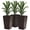 Brun, variante sur Outsunny Ensemble de 3 Grands Bacs à Plantes, Ensemble de Pots de Fleurs pour Intérieur et Extérieur, Noir
