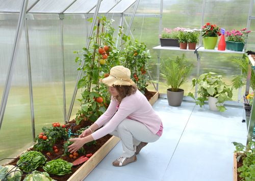 Palram Premier 8' x 12' Twin Wall Greenhouse