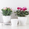 thumbnail image 2 of Jardinières Rondes pour Plantes – Pots de Fleurs avec Plateau pour Succulentes, Bureau et Jardin, 2 of 6