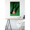 thumbnail image 4 of Wicked - Teaser One Sheet Wall Poster, 22.375" x 34", 4 of 4
