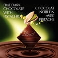 thumbnail image 2 of Lindt EXCELLENCE Pistachio Dark Chocolate Bar, 100g, 2 of 14