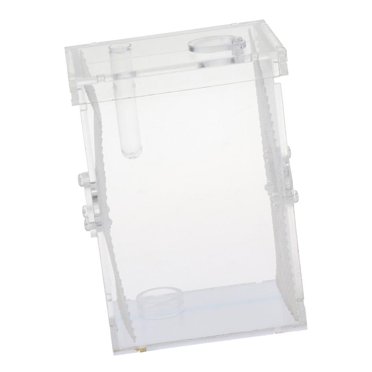 Esquirla Vivarium pour Reptiles
