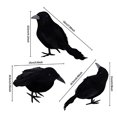 thumbnail image 2 of Shengyu Simulation Crow Animal Model - Halloween Party Decoration With Festive Ambiance Flying Crow 1Set, 2 of 6