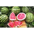 thumbnail image 3 of GSDWIUEW Collection Ultime de Paquets de Graines Multiples de Melon - 100+ Graines de Melon - 6 Variétés - Héritage, 3 of 7