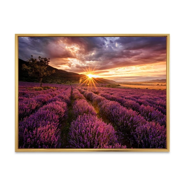 Designart Sunrise & Dramatic Clouds Over Lavender Field IV FLOAT FRAME WALL ART showing a framed canvas print of a purple lavender field at sunrise with dramatic clouds, printed on premium cotton canvas with fade-resistant ink, gallery-wrapped and ready to hang, ideal for farmhouse-style home décor.