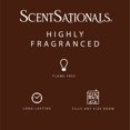 thumbnail image 4 of ScentSationals Scented Wax Cubes - Sugar & Spice, 4 of 5