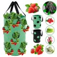 thumbnail image 1 of AMERTEER Strawberry Planting Pot Container Plant Grow Bags Home Hanging Strawberry Planter Growing Bags, 1 of 9